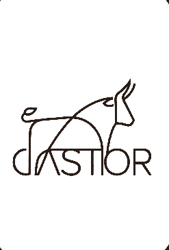 CASTOR